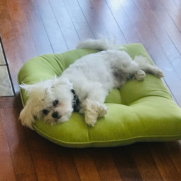 Meet your Posher, Jennifer - Picture 1 of 2